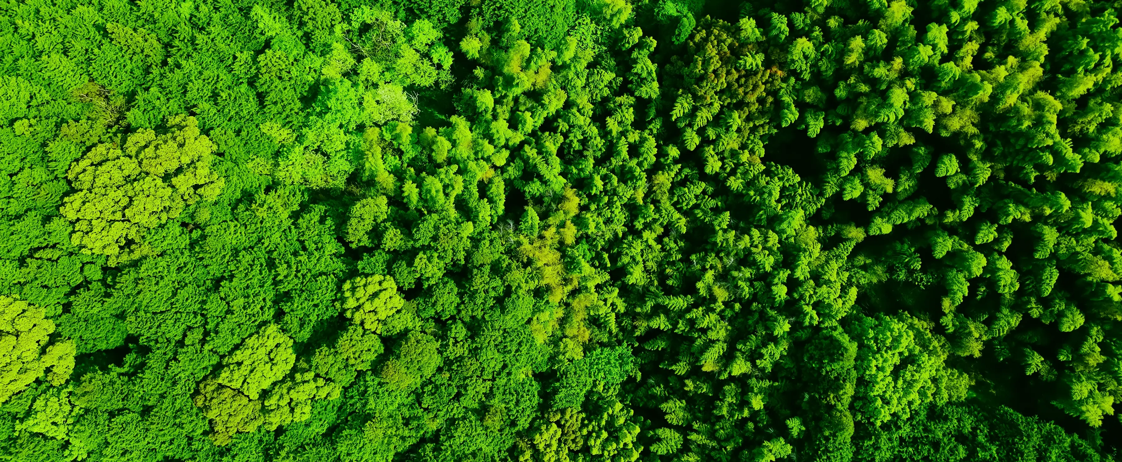 Aerial view of Kharghar greenery near Godrej Varanya